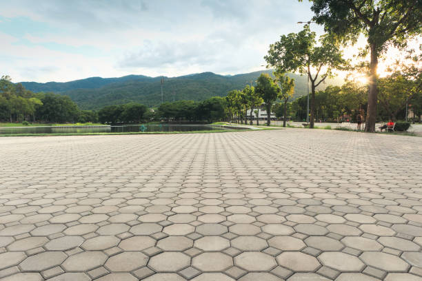 Professional Driveway Pavers in Lake Cherokee, TX