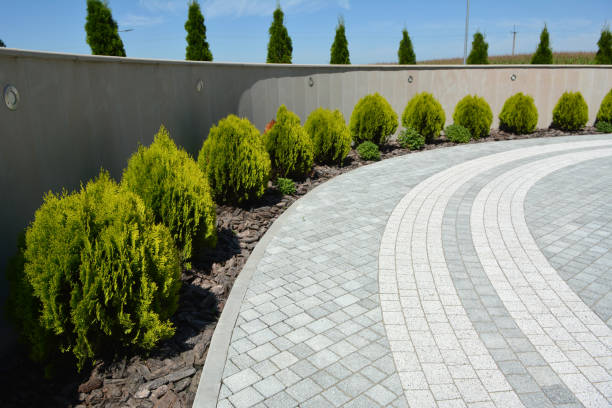 Best Permeable Paver Driveway  in Lake Cherokee, TX